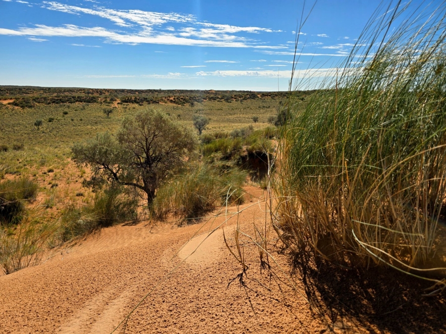 Commercial Property for Sale in Upington Rural Northern Cape